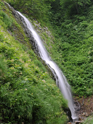 下二股川F6