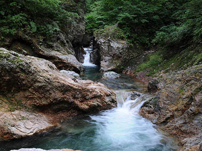 �����m��̏��