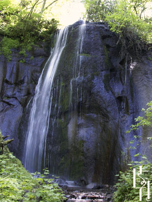 �L���̑�
