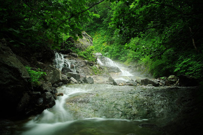 �J���C���b�J�̑�